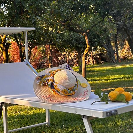 Lemon Factor Sorrento Bed & Breakfast Dış mekan fotoğraf