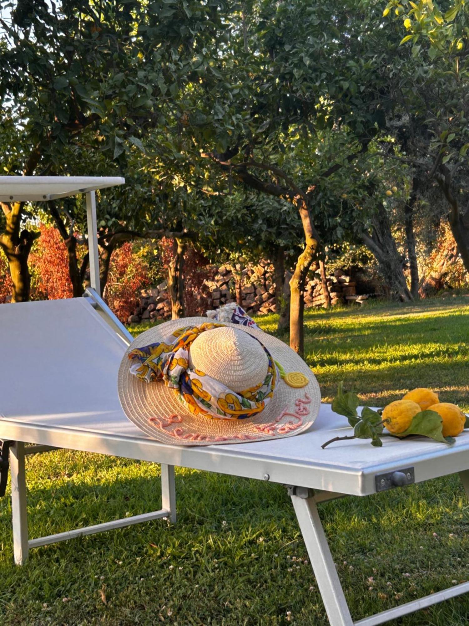 Lemon Factor Sorrento Bed & Breakfast Dış mekan fotoğraf