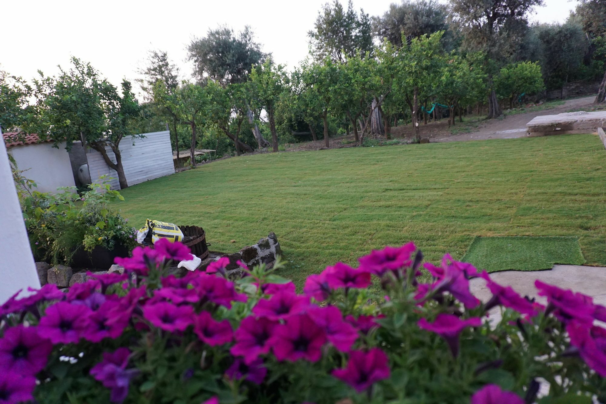 Lemon Factor Sorrento Bed & Breakfast Dış mekan fotoğraf