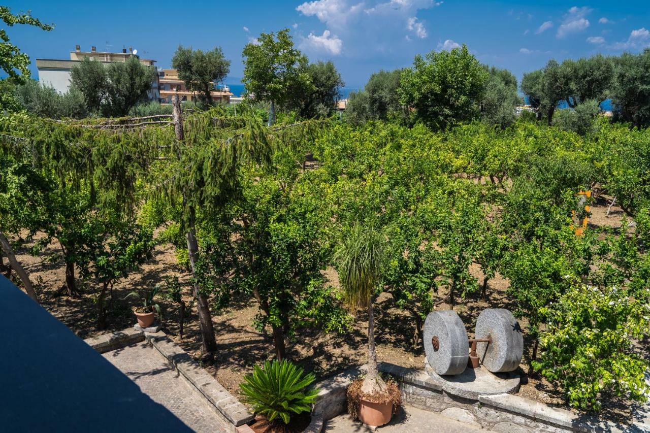 Lemon Factor Sorrento Bed & Breakfast Dış mekan fotoğraf
